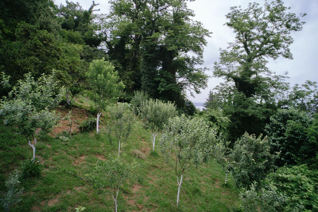 Guest House Bagrat New Athos Exterior photo